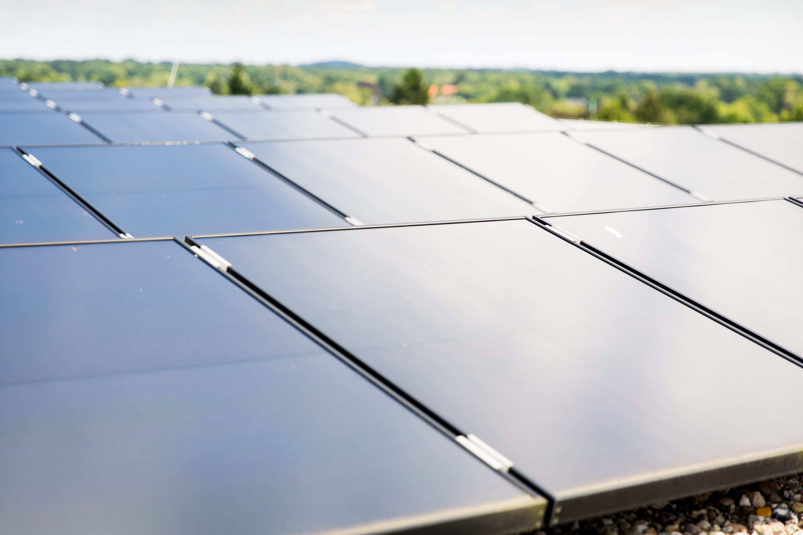 ECE to cut CO2 and bills with plan for PV panels on centres - Real ...