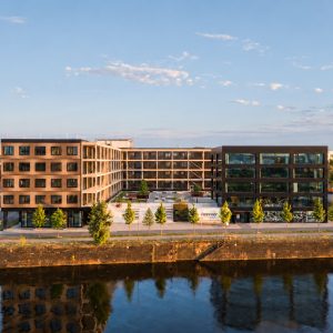 Timber Carbon launches the world’s first AI-powered carbon removal infrastructure for RE
